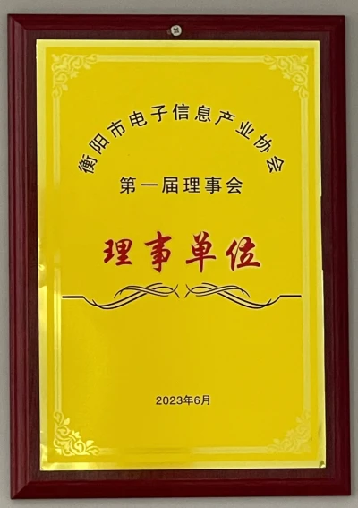 Hengyang Electronic Information Industry Association Council Unit
