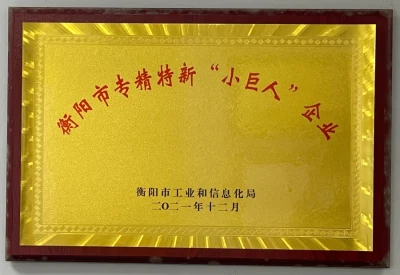 Hengyang Specialized and New Small Giant Enterprise