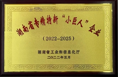 Hunan Province Specialized and New Small Giant Enterprise