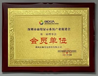 Shenzhen Commercial Display System Industry Promotion Association 1