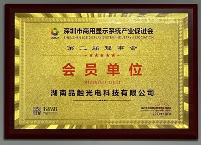 Shenzhen Commercial Display System Industry Promotion Association 2